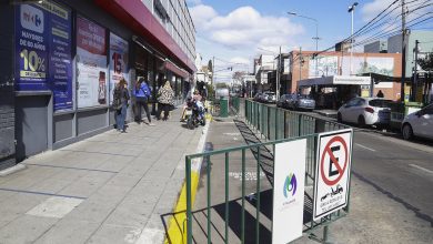 Circulación peatonal en Carapachay