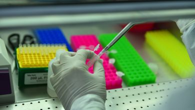 Laboratorio HNCK