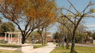 Ampliación de la Estación Bella Vista con nueva forestación