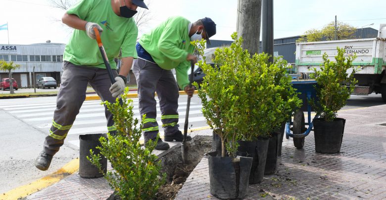 El Municipio de San Fernando plantó nuevos arbustos en la Ruta 202