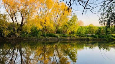 Río Reconquista desde la reserva