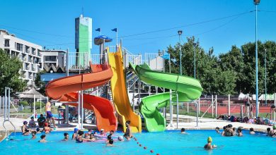 Colonia de verano municipal 2019