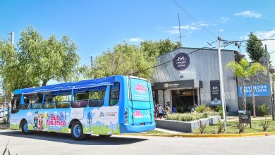 Bus Turístico