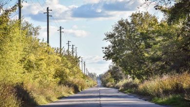 Ruta 25