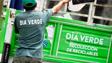 Funcionamiento de los servicios de recolección y Día Verde durante los feriados