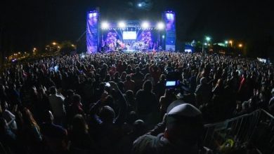 Fiesta de la Flor