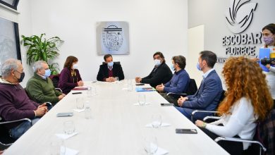 Estudios e investigaciones sobre el uso medicinal del cannabis