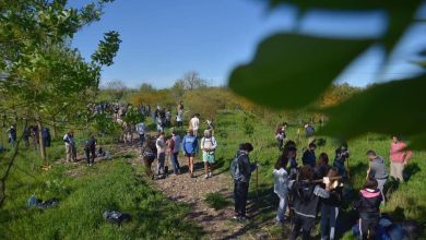 Gran plantación por el 5to aniversario de la Reserva Natural El Corredor