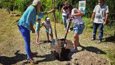 Plantando conciencia