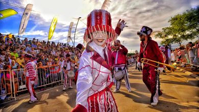 Carnaval en Vicente López