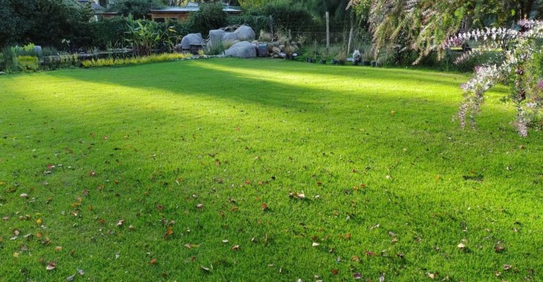 Jardinería en otoño