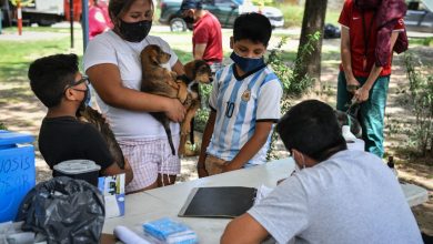 Operativo zoonosis