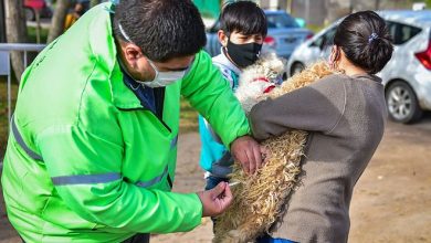 Zoonosis