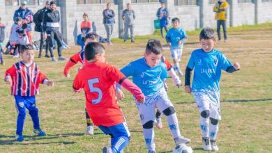 Liga Municipal de Fútbol Infantil de San Fernando