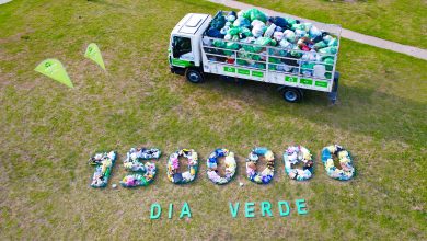 Programa Día Verde