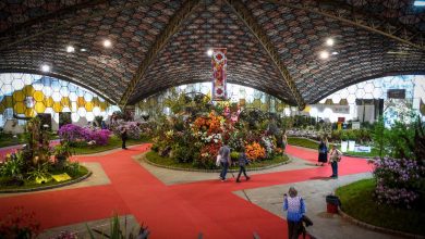 Fiesta Nacional de la Flor