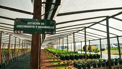 Escobar Sostenible