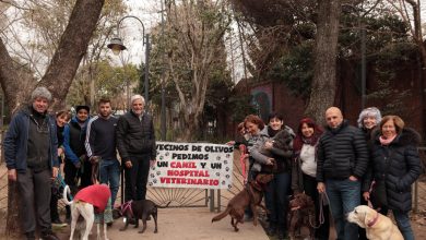 Canil en la Plaza de los Inmigrantes