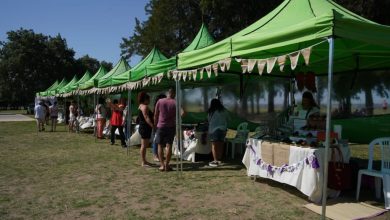 Festival ambiental