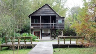 Casa Museo Haroldo Conti