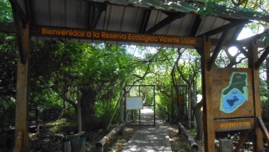 Reserva Ecológica de Vicente López