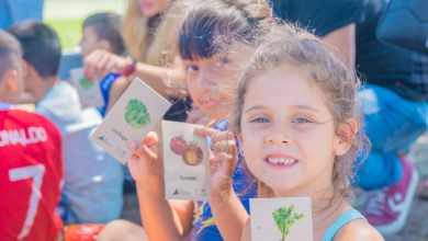 Talleres de Educación Ambiental durante el verano