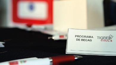 Programa de becas Tigre Educa 2023