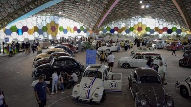 Expo