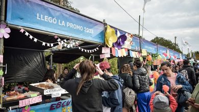 Programa de Ayuda a Egresados
