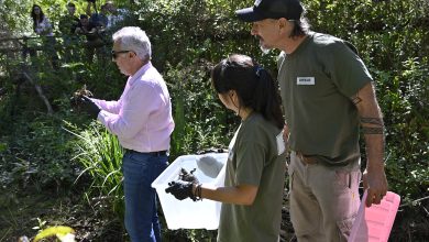 Liberación de especies nativas en el Área Natural Protegida
