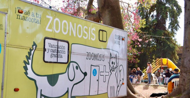 Operativo de zoonosis