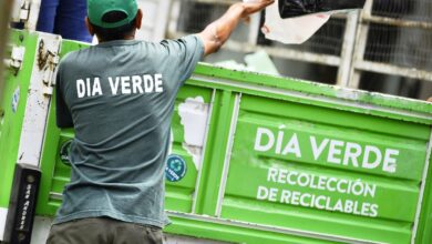 Dia Verde VL