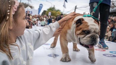 Fiesta de la Horqueta