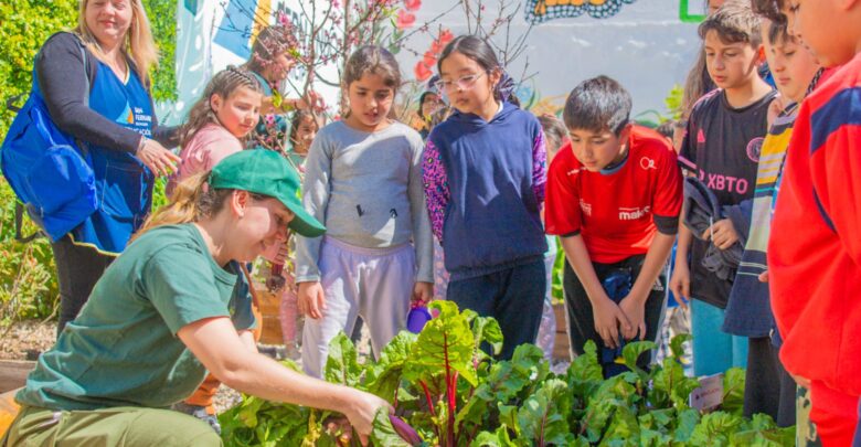 ‘Huerta en Casa’