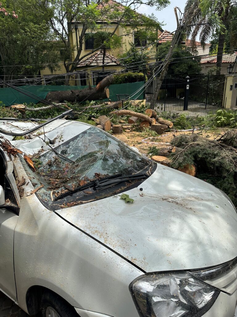 Auto destruido en Beccar