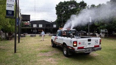 Operativos de fumigación