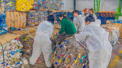 Reciclaje plasticos San Fernando 2024