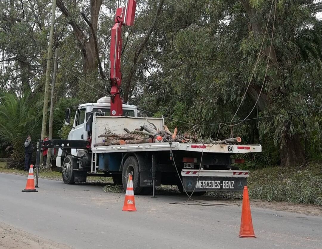 Operativo de poda en altura