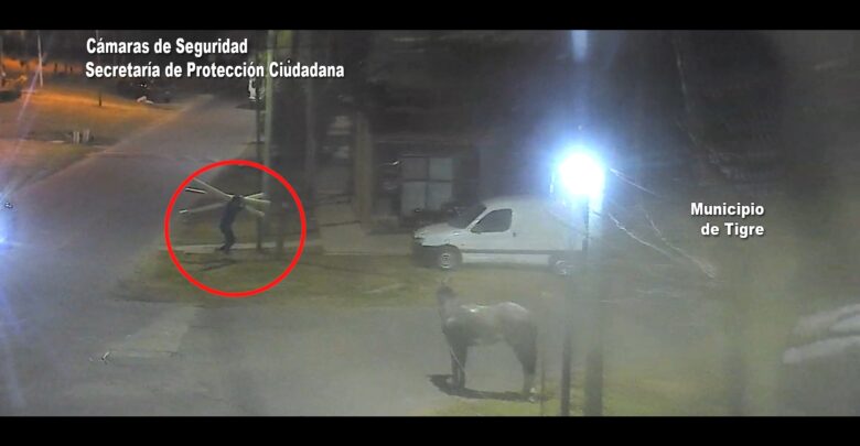 Delincuente captado por las cámaras del COT