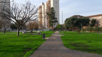 Renovación de plazas y espacios públicos