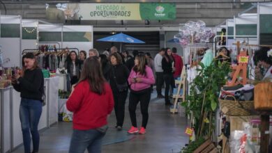 Mercado de Oportunidades