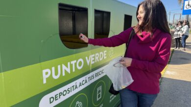 Puntos Verdes