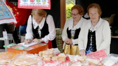 Fiesta de Colectividades