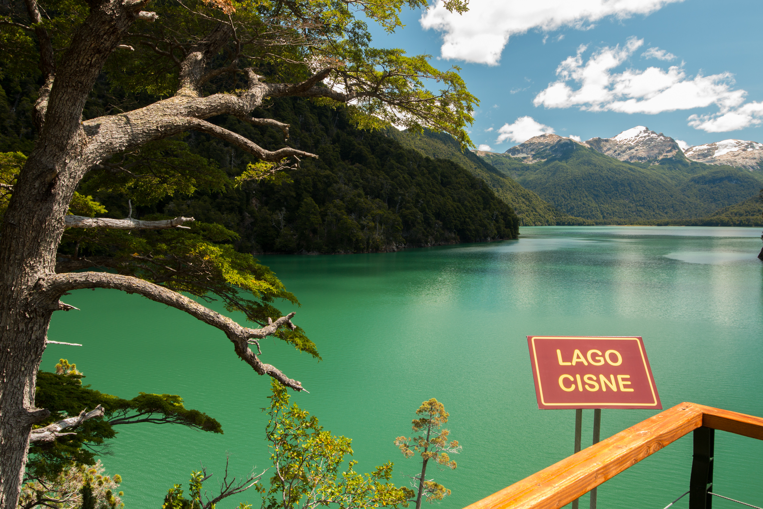 Alerzal Milenario Río Cisne