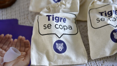 Tigre Se COPA