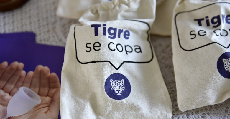 Tigre Se COPA