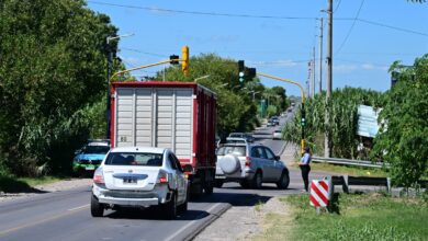 Fortalecimiento de la seguridad vial