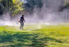 Labores de mantenimiento integral en el Delta