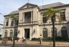 Municipio Tigre