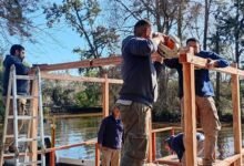 Labores de mantenimiento integral en el Delta de Tigre